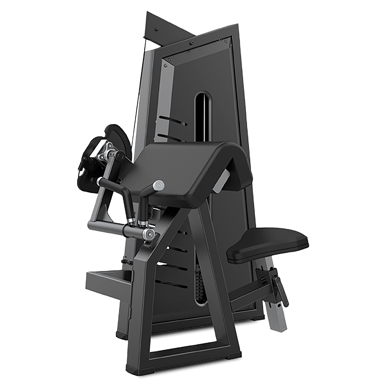 Camber Curl & Triceps / Biceps y Triceps