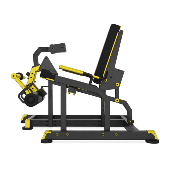 EXTENSIÓN DE PIERNA LATERAL AISLADA