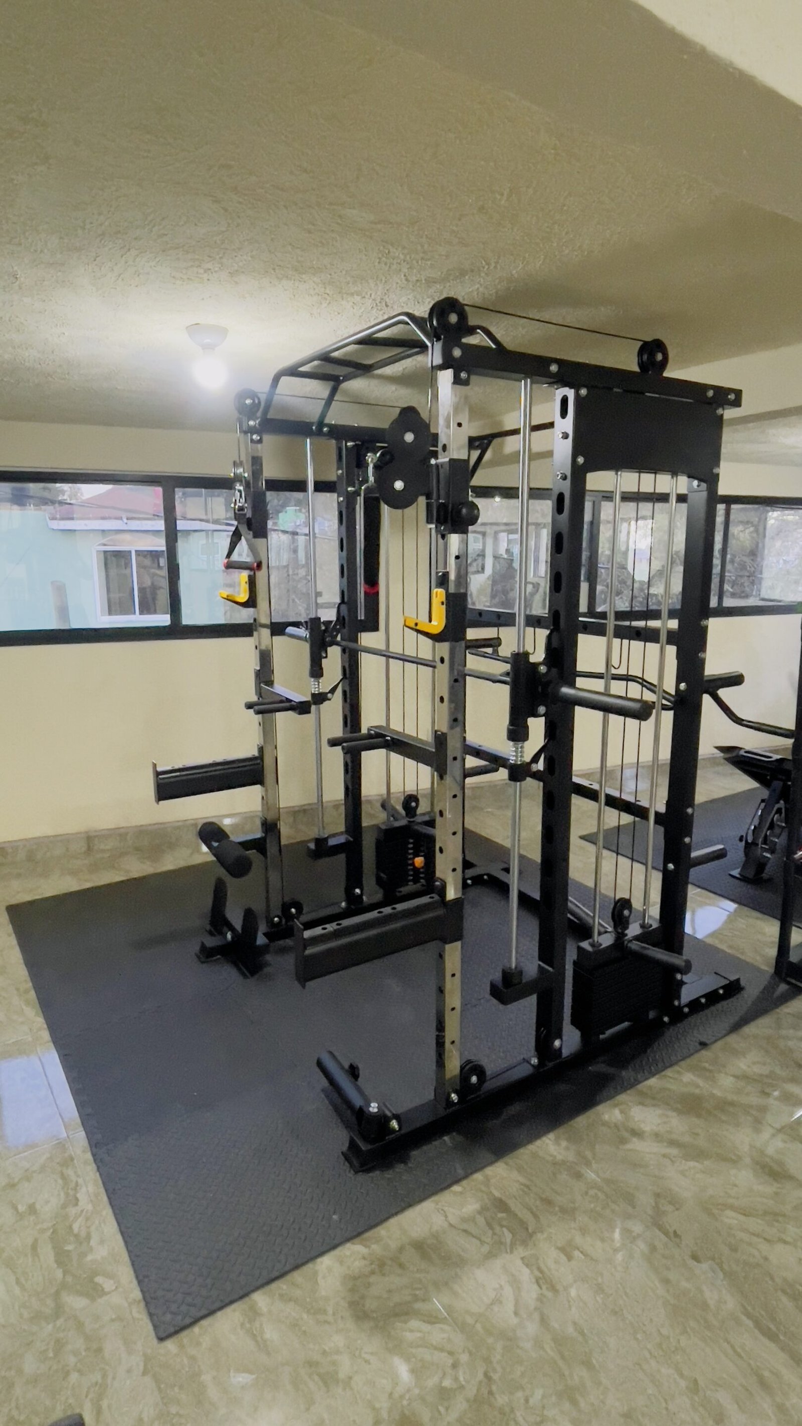 Gimnasio profesional