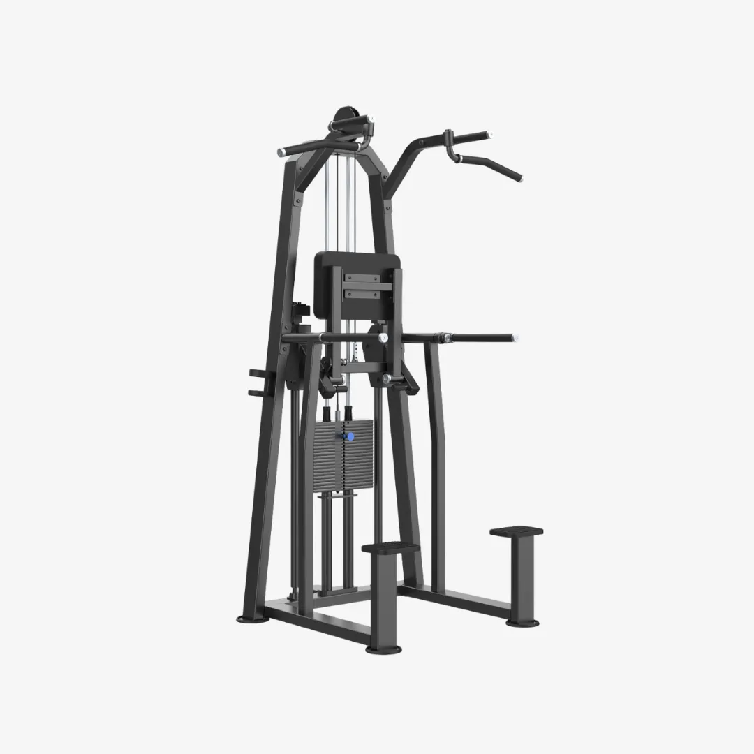 Equipo dip chin assist con peso integrado