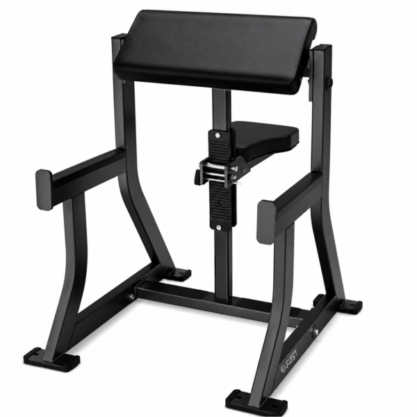 Seated Arm Curl